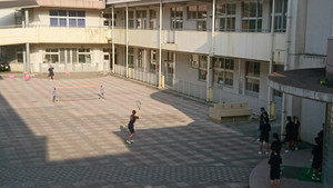 Dsc_5262_copy_960x540