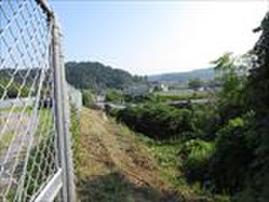 Img_2178_r_2